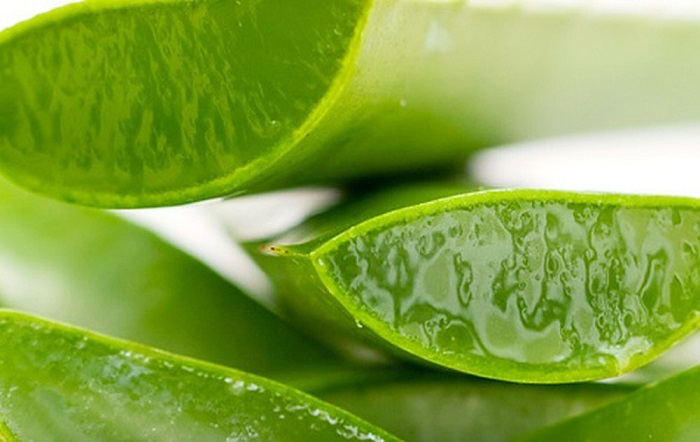 Lô hội cũng có thể dùng để trị gàu