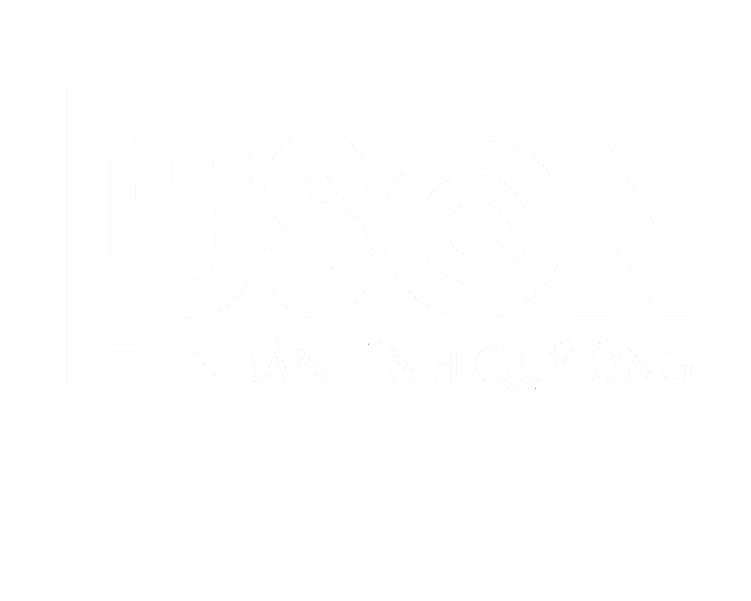 Công ty TNHH VICO